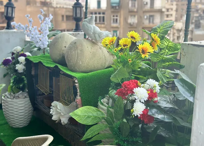 Hostel: Cecilia Hostel